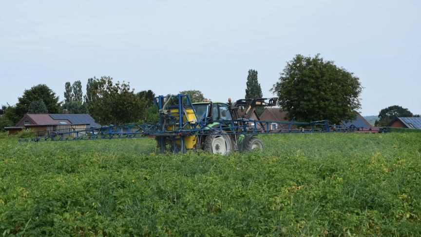 Belpotato.be bekwam een noodtoelating bij het fungicidegebruik om de aardappelplaag te bestrijden.