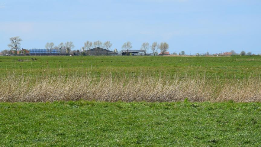 De gemiddelde prijs van landbouwgrond in West-Vlaanderen bedraagt in de eerste helft van 2024 meer dan 83.000 euro/ha.