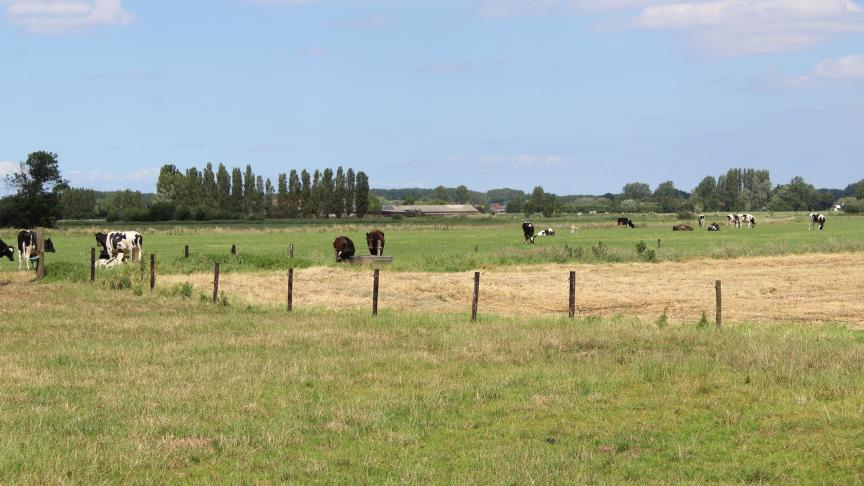 Overheden kopen nog landbouwgrond, maar niet om te verpachten aan boeren, vaak wel voor het behalen van natuurdoelstellingen.