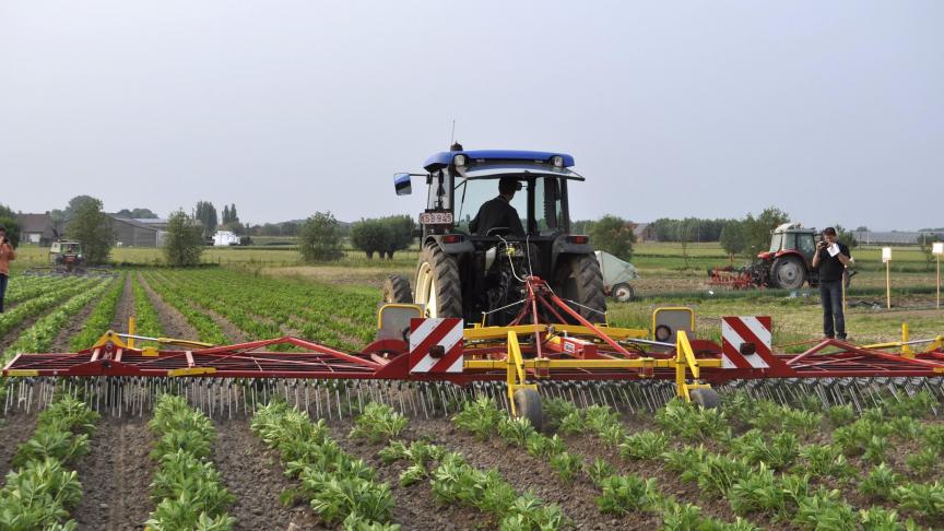 Eén van de 3 trajecten van het Simone-project van Inagro focust op onkruidbeheersing.