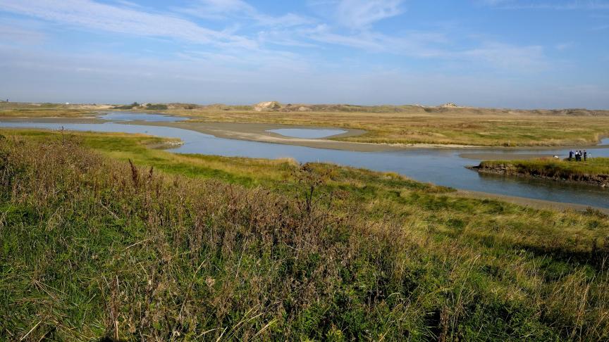 Het Parkbureau is een bestuursorgaan dat de samenwerking tussen verschillende partners in de Zwinstreek moet verbeteren.
