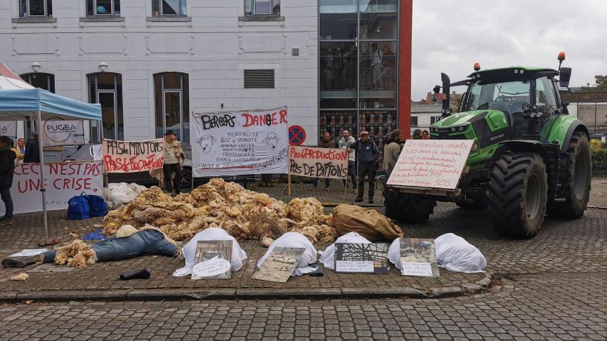 Tientallen landbouwers hebben op 25 september betoogd in Namen, om van de Waalse regering maatregelen te vragen in het kader van de blauwtongepidemie. Ze wilden met hun actie ook de verliezen op de boerderijen onder de aandacht brengen