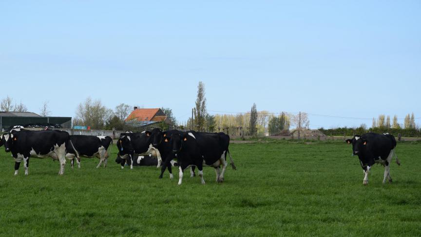 In 2022 stootte de primaire sector, waaronder landbouw, voor het eerst minder broeikasgassen uit dan in 2008.