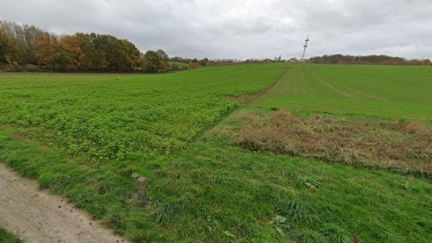 Voor deze percelen aan de Heerbaan in Everberg levert de provincie een bebossingsvergunning.
