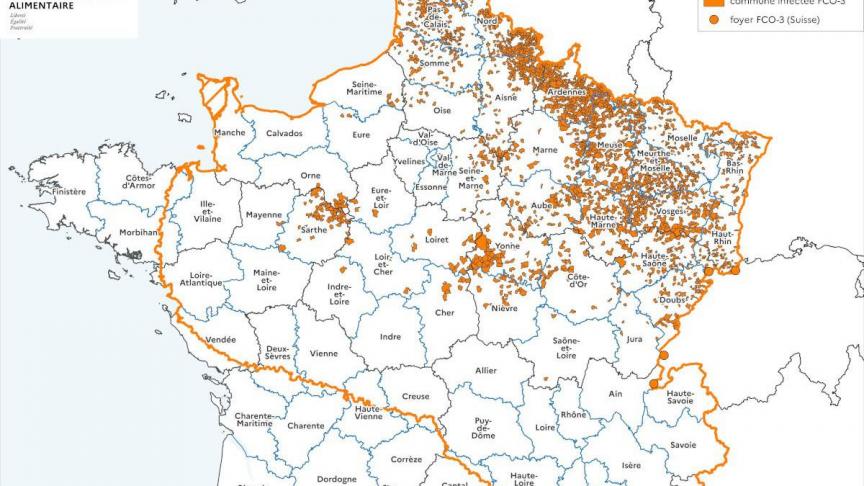 Verspreiding van BTV3 in Frankrijk. De oranje vlekjes zijn de besmettingshaarden. De oranje lijn is de grens de beschermingszone.