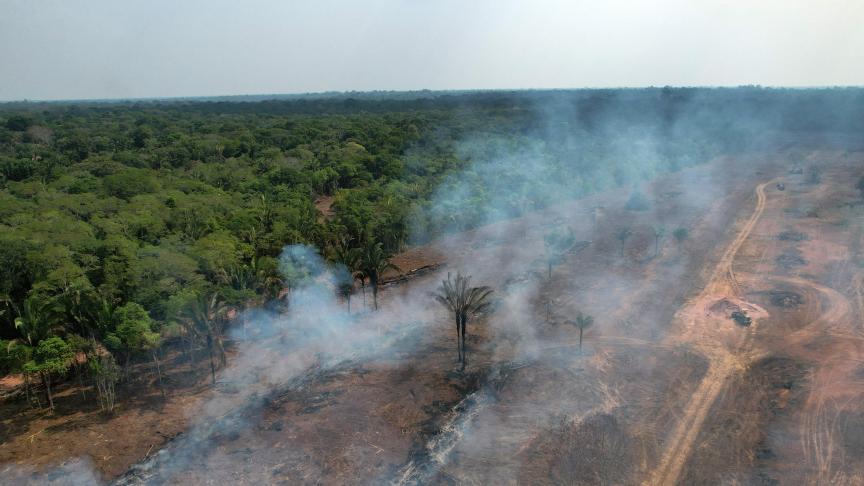 Vorig jaar verdweenwereldwijd 6,37 miljoen hectare aan bos.