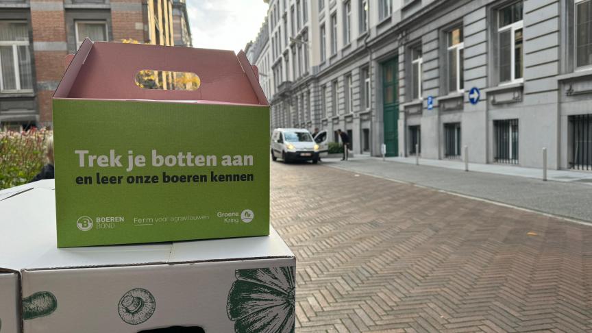 Afbeelding van WhatsApp op 2024-10-08 om 09.50.28_0dd4c99a