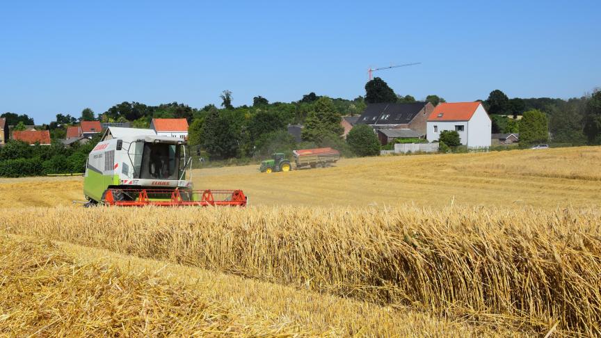 De stagnering in  opbrengst en de terugval in productie kunnen  toegewezen worden aan verschillende, onderling verbonden factoren.