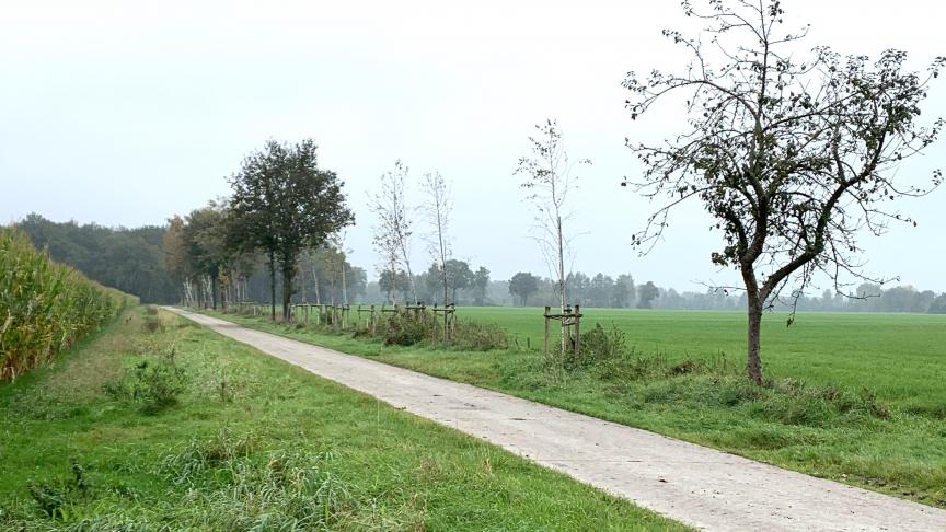 Nieuwe houtkant in Ravels met steun uit de oproep van 2023.