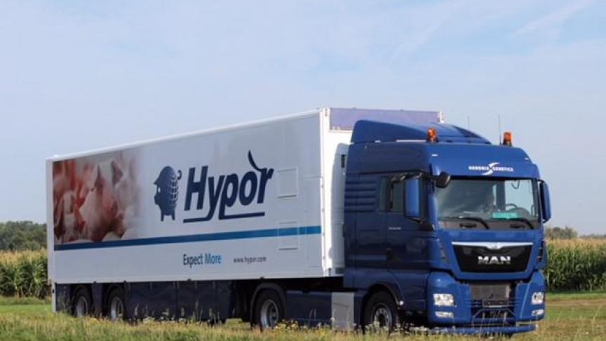 Danish Genetics en Hypor gaan vanaf 2025 een samenwerking aan.