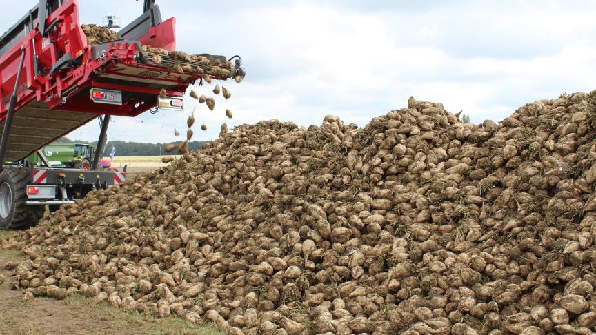Onder meer de Europese federatie van suikerproducenten en de Internationale federatie van bietentelers vinden het compensatiefonds voor het Mercosur-akkoord eerder verontrustend dan dat het vertrouwen biedt.