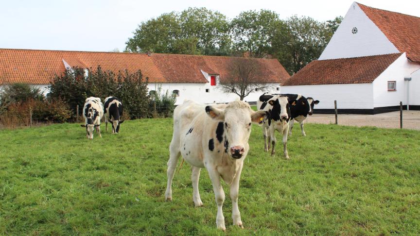 Dat ernog meer ziektes op de veehouders afkomen, moet volgens Nick De Regge van Sciensano niet betekenen dat er binnenkort geen vee meer buiten in de weides zal kunnen lopen.