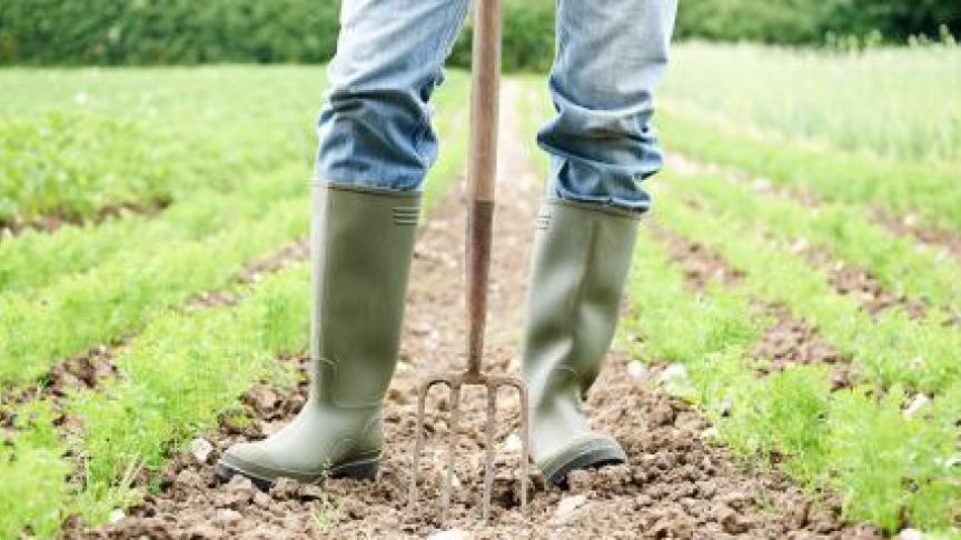De productiewaarde van de landbouwsector steeg in 2023 lichtjes met 0,6% ten opzichte van 2022.