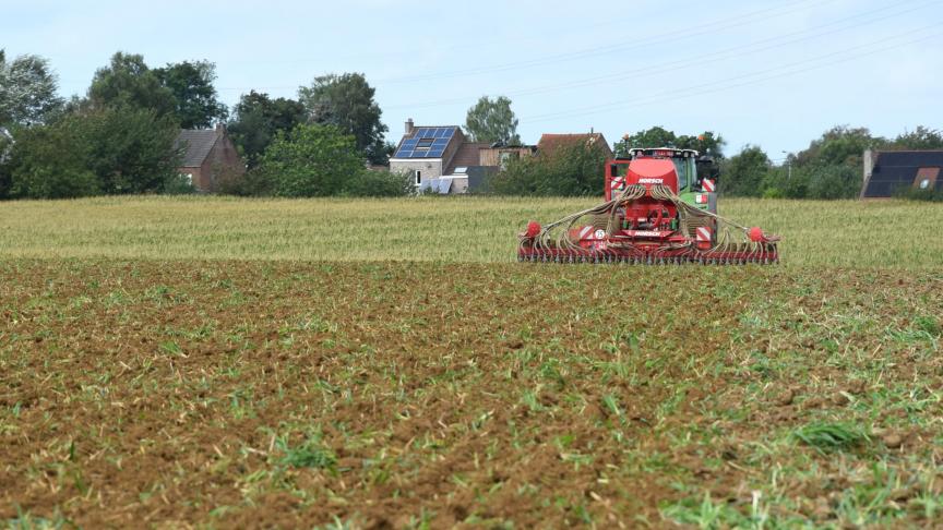 De Vlaamse Landmaatschappij (VLM) zal dit jaar niet meer handhaven op de inzaaidatum van vanggewassen.