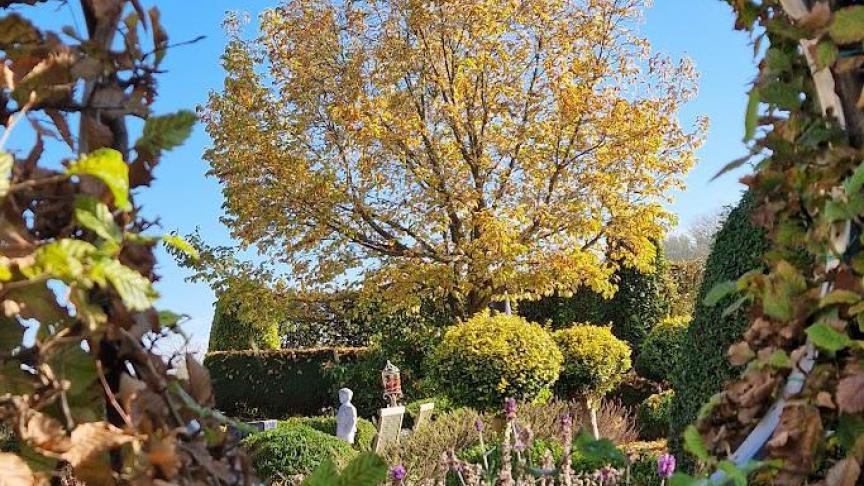 Herfstbladeren zijn niet alleen mooi, maar ook de basis  voor vruchtbare bladaarde.