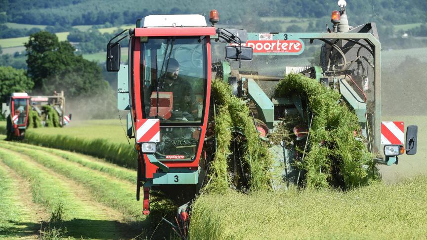 Net als het zaaien verliep dit jaar het oogsten in een langgerekte periode.