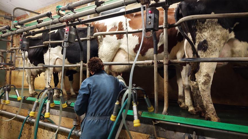 De Belgische melkprijs over november 2024 bij Vreugdenhil Dairy Foods is vastgesteld op 54,15 euro per 100 l melk, zonder btw.