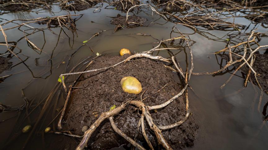 In de commissie Landbouw werd een lans gebroken voor het oprichten van een rechtsgeldige schattingscommissie.