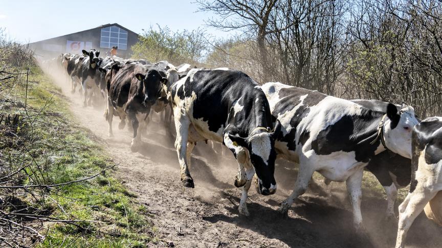 Slaagt de theorie van de Deense uitstoottaks wel in de praktijk?