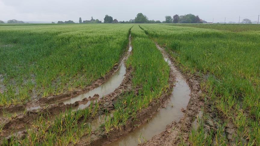 Vooral de akkerbouw is zwaar getroffen, met 26,3% minder omzet dan in 2023.