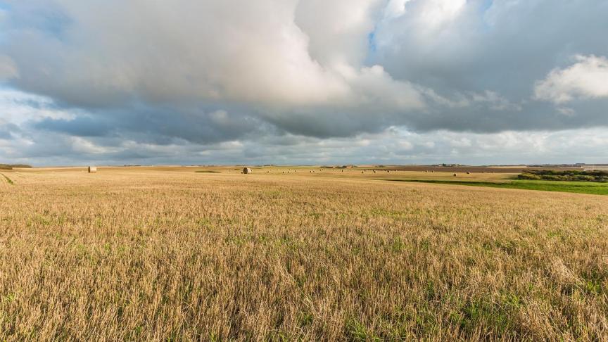 390.000 ha of 15% van de landbouwoppervlakte in Denemarken moet tegen 2045 omgezet worden in natuur.