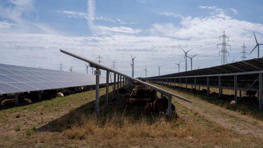 De zonnepanelen komen op open ruimte op de grond, maar laten nog genoeg plaats om bijvoorbeeld schapen te laten grazen.