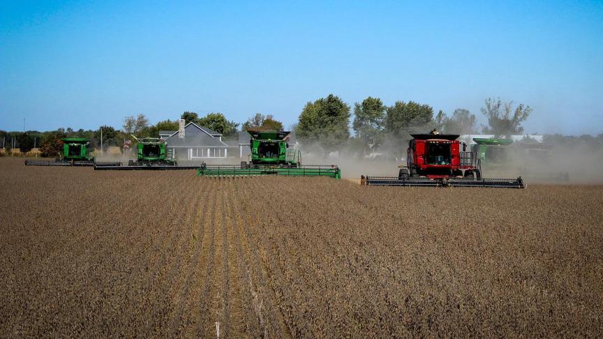 De sojamarkt wordt momenteel gekenmerkt door robuuste exportcijfers in de VS, ideale omstandigheden in Zuid-Amerika, en door een hoge vraag naar sojaolie.