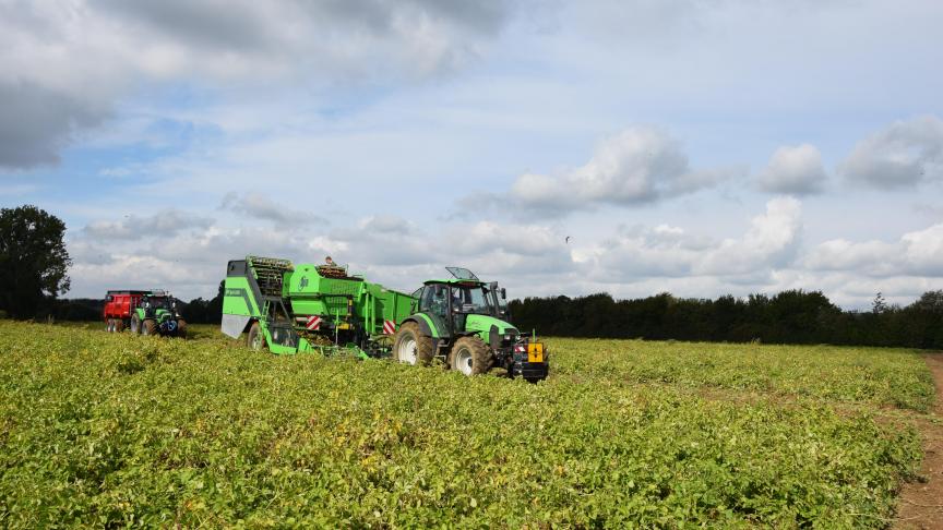 Over het algemeen daalt de aardappelproductie in Europa, met uitzondering van Noordwest-Europa (Duitsland, België, Frankrijk en Nederland).