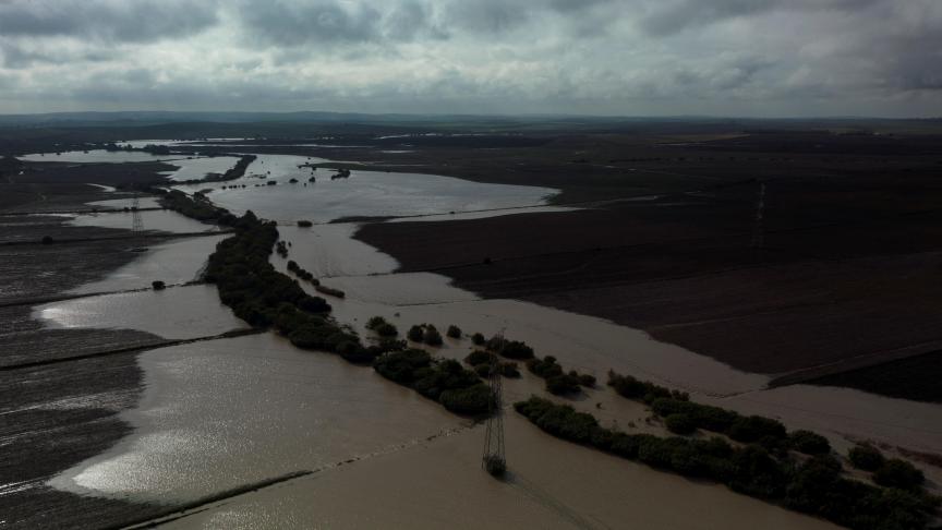 Naast honderden slachtoffers, zorgden de grote overstromingen in Spanje van het najaar voor veel financiële schade voor landbouwers.