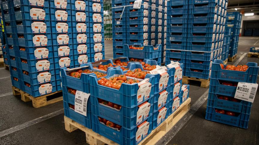 De REO Veiling haalde in 2024 een recordomzet van bijna 250 miljoen euro.