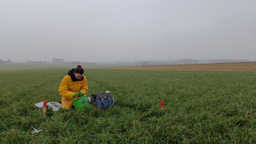 Het onderzoeksproject MiCoS focust op vervuiling door microplastics in landbouwbodems in de Benelux.