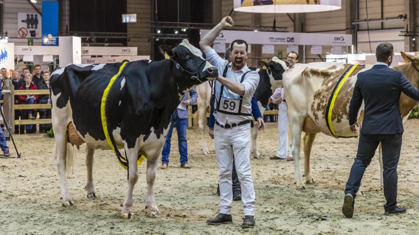 Vreugde bij winst tijdens de prijskampen melkvee in 2023.