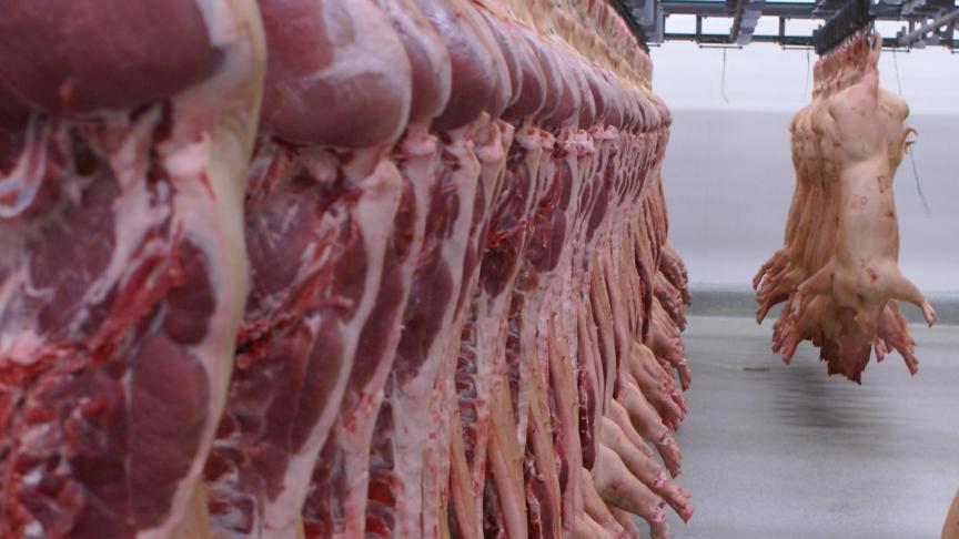 Statbel-cijfers wijzen voor de varkenshouderij op een hoger gemiddeld slachtgewicht in 2024.