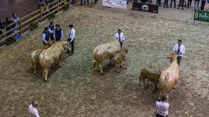 Agriflanders hoeft geen extra maatregelen te nemen voor diens prijskampen.