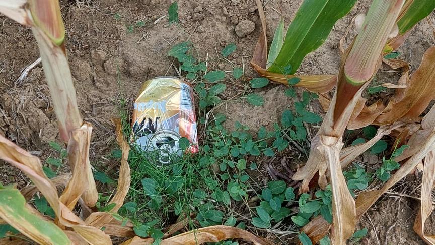 Landbouwdieren kunnen sterven door delen van blikjes en flesjes die in hun voer terechtkomen.