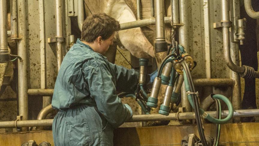 Aangesloten landbouwers kunnen een vervanger krijgen wanneer ze zelf de dagelijkse werkzaamheden niet kunnen uitvoeren.