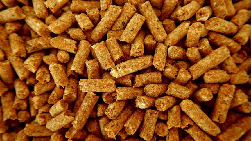 De origine en de samenstelling van het voer bepaalt de klimaatimpact van het stukje vlees op ons bord of de melk die we drinken.
