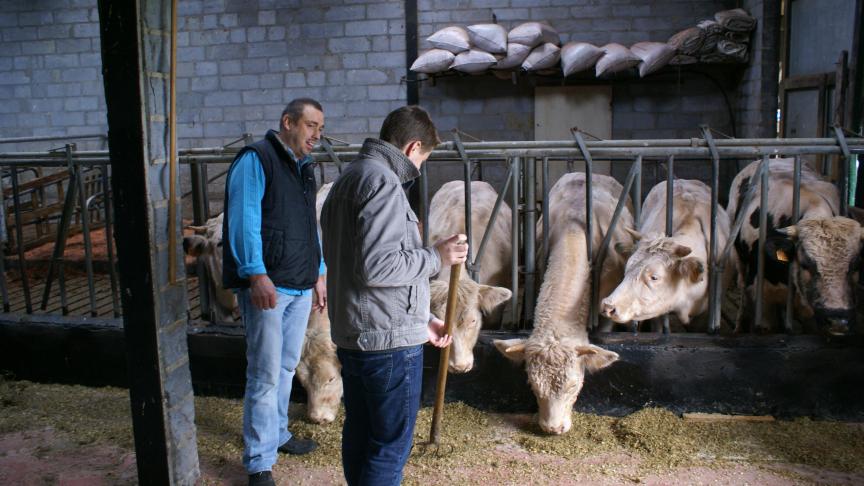 Het aantal aangemelde zorgboerderijen steeg in 2024 ten opzichte van de voorgaande jaren.