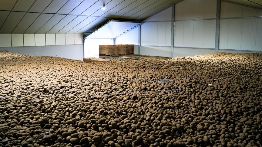 De Belgapomprijs wijzigde niet op 6 februari.