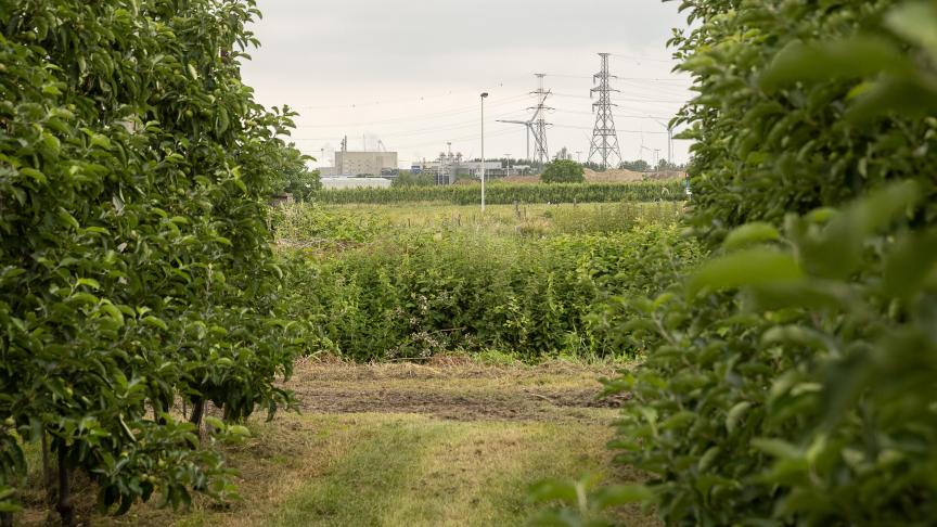 In totaal hebben 39 land- en tuinbouwbedrijven in de regio rond Zwijndrecht een tegemoetkoming aangevraagd bij chemiebedrijf 3M.