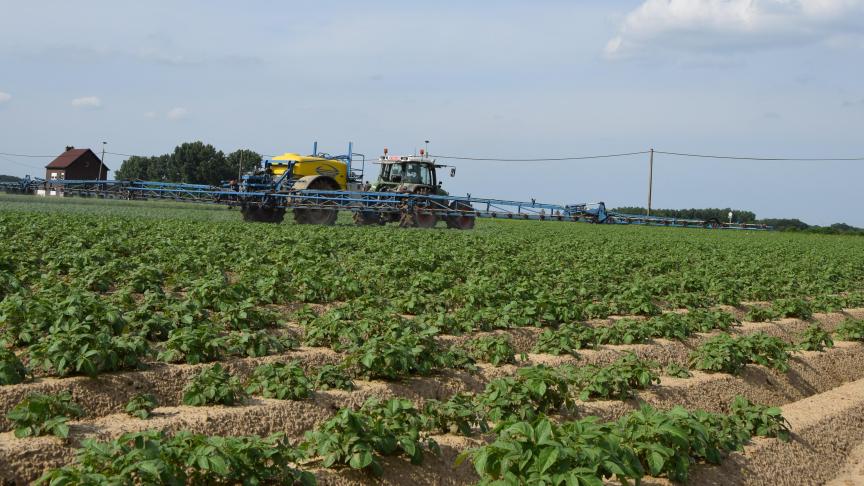 De eerste biopesticiden van BiocSol pakken onder meer de aardappelplaag aan.