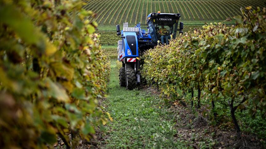 Franse cognacproducenten willen een einde aan het oplopende EU-China handelsconflict.