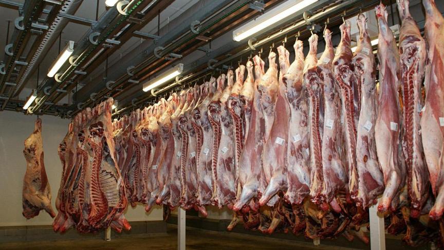 Vleesproducent VanDrie België is ook in beroep vrijgesproken voor dierenmishandeling in het vroegere slachthuis in Hasselt.