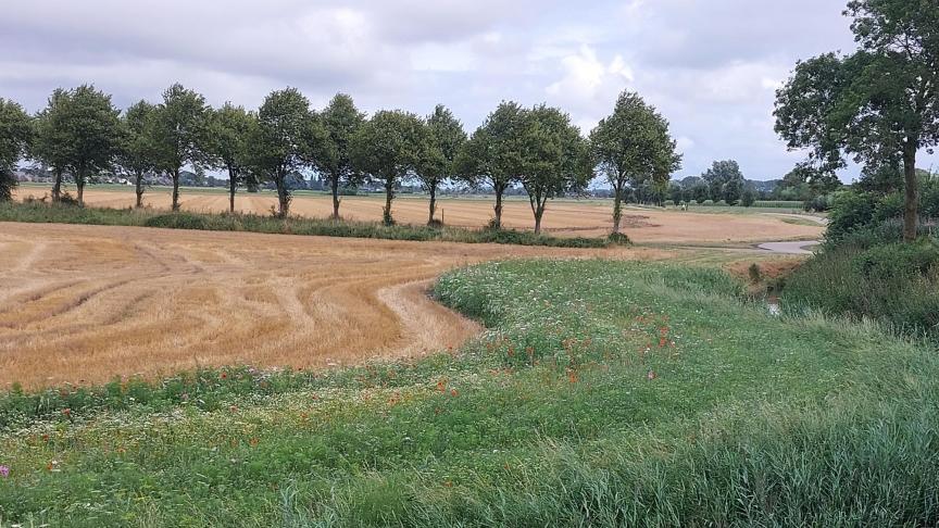 Bijna 6.000 ha in Vlaanderen valt dit jaar onder een beheersovereenkomst.