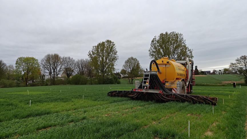Drijfmestinjectie op wintertarwe in Herent op 11 april 2024.