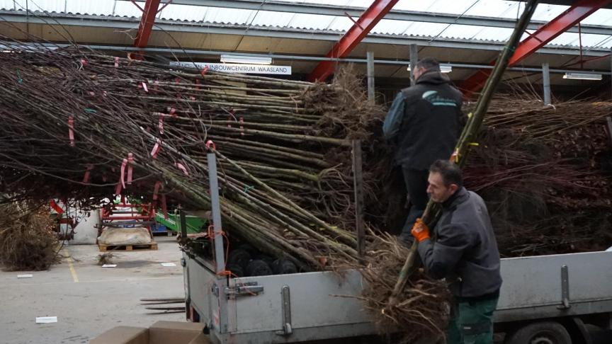 Voor deze groepsaankoop waren er 245 deelnemers, waarvan 192 landbouwers en 53 imkers. 152 deelnemers bestelden samen 14.765 stuks inheems plantgoed (bosgoed, bomen, struiken en klimplanten).
