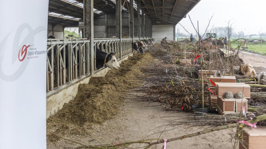 De dertiende editie van de groepsaankoop plantgoed, bloemenzaad en nestkasten van de provincie Oost-Vlaanderen leverde 245 bestellingen op.