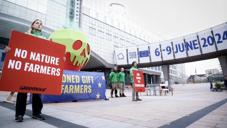 Greenpeace-activisten tijdens een protest vorig jaar voor het Europees Parlement in Brussel.