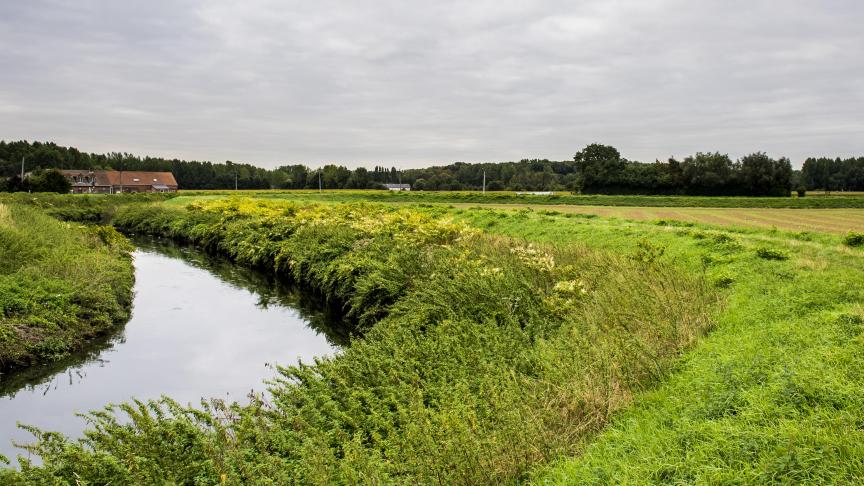 Het nieuwe mestdecreet heeft impact op de na te leven voorwaarden langs waterlopen.