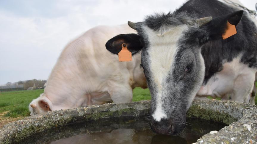De geblokkeerde veebedrijven zullen niet de enige landbouwbedrijven zijn die in de toekomst met de PFAS-problematiek geconfronteerd zullen worden.